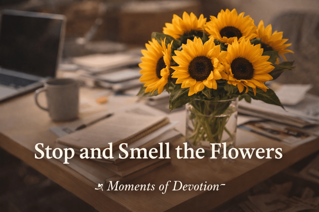 Stop and Smell the&nbsp;Flowers